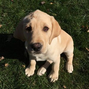 Meet your Posher, Dalton